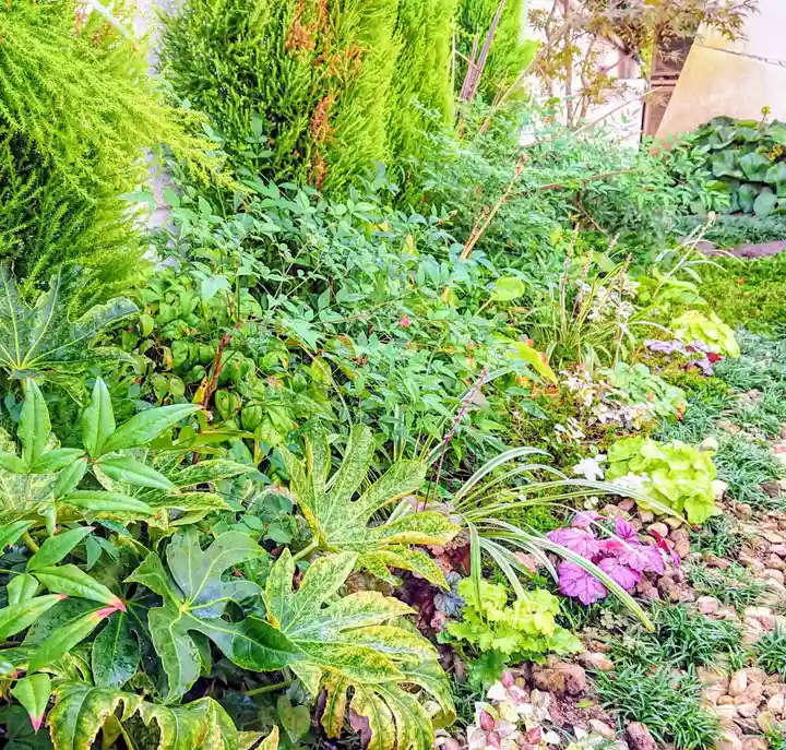 寿量山 速成寺の庭園
