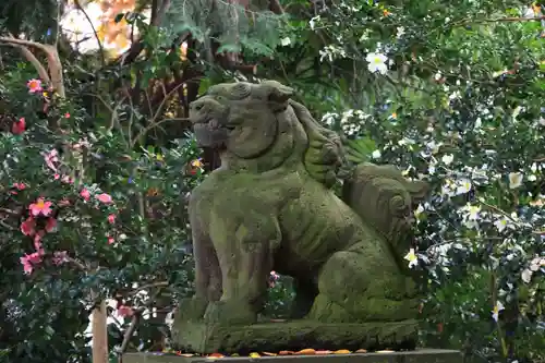 愛宕神社の狛犬