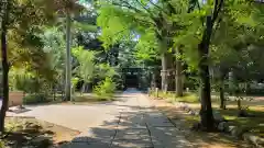 赤坂氷川神社の建物その他