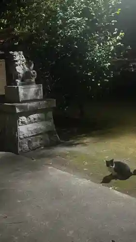 八坂神社(東京都)