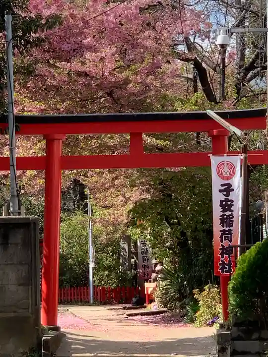 子安稲荷神社の鳥居