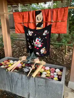 下野 星宮神社(栃木県)
