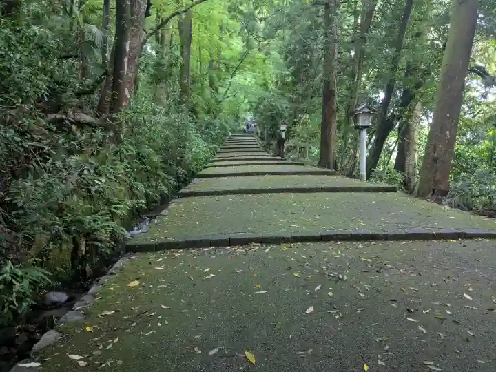 白山比咩神社の{uncategorized: "未分類", other: "その他", undefined: "問題あり", building: "その他建物", grave: "お墓", sacred_gate: "鳥居", guardian: "狛犬", statue: "像", buddha: "仏像", history: "歴史", nature: "自然", garden: "庭園", animal: "動物", pagoda: "塔", temizu: "手水舎", mountain_gate: "山門・神門", sanctuary: "本殿・本堂", subordinate: "末社・摂社", art: "芸術", scenery: "景色", jizo: "地蔵", ema: "絵馬", goshuin: "御朱印", omikuji: "おみくじ", items: "授与品その他", amulet: "お守り", goshuincho: "御朱印帳", eats: "食事", festival: "お祭り", votive_dance: "神楽", shichigosan: "七五三参", wedding: "結婚式", experience: "体験その他", initially: "初詣", around: "周辺", anti_infection: "感染症対策"}