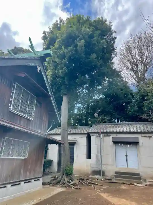 諏訪神社の{uncategorized: "未分類", other: "その他", undefined: "問題あり", building: "その他建物", grave: "お墓", sacred_gate: "鳥居", guardian: "狛犬", statue: "像", buddha: "仏像", history: "歴史", nature: "自然", garden: "庭園", animal: "動物", pagoda: "塔", temizu: "手水舎", mountain_gate: "山門・神門", sanctuary: "本殿・本堂", subordinate: "末社・摂社", art: "芸術", scenery: "景色", jizo: "地蔵", ema: "絵馬", goshuin: "御朱印", omikuji: "おみくじ", items: "授与品その他", amulet: "お守り", goshuincho: "御朱印帳", eats: "食事", festival: "お祭り", votive_dance: "神楽", shichigosan: "七五三参", wedding: "結婚式", experience: "体験その他", initially: "初詣", around: "周辺", anti_infection: "感染症対策"}