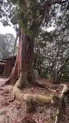 鴨神社(岡山県)