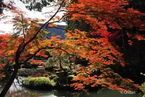 くろ谷 金戒光明寺の庭園