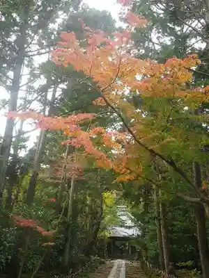 寿福寺のその他建物