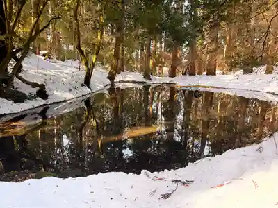 平泉寺白山神社(福井県)