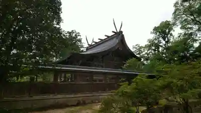 出石神社の本殿・本堂