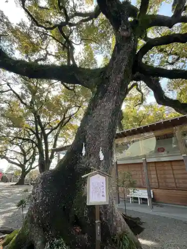 北岡神社の{uncategorized: "未分類", other: "その他", undefined: "問題あり", building: "その他建物", grave: "お墓", sacred_gate: "鳥居", guardian: "狛犬", statue: "像", buddha: "仏像", history: "歴史", nature: "自然", garden: "庭園", animal: "動物", pagoda: "塔", temizu: "手水舎", mountain_gate: "山門・神門", sanctuary: "本殿・本堂", subordinate: "末社・摂社", art: "芸術", scenery: "景色", jizo: "地蔵", ema: "絵馬", goshuin: "御朱印", omikuji: "おみくじ", items: "授与品その他", amulet: "お守り", goshuincho: "御朱印帳", eats: "食事", festival: "お祭り", votive_dance: "神楽", shichigosan: "七五三参", wedding: "結婚式", experience: "体験その他", initially: "初詣", around: "周辺", anti_infection: "感染症対策"}