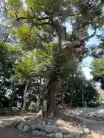 別所白山神社(神奈川県)