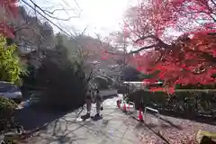 御蔭神社の建物その他