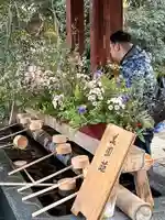 武蔵一宮氷川神社(埼玉県)