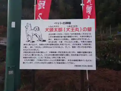 犬頭太郎のその他建物