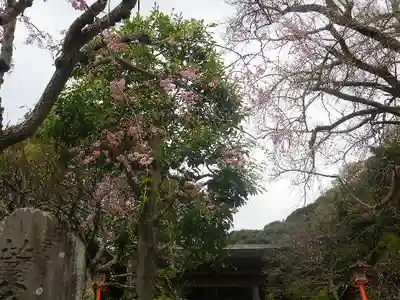 荏柄天神社のその他建物