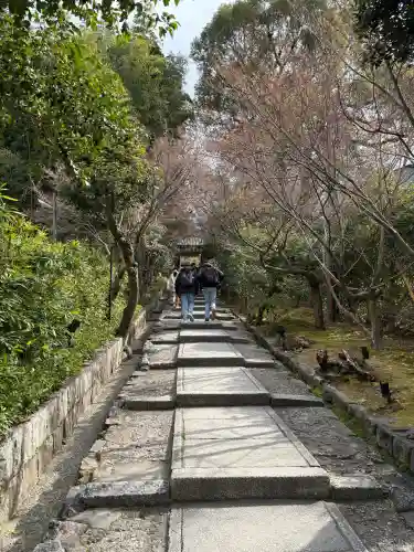 高台寺（高台寿聖禅寺・高臺寺）の{uncategorized: "未分類", other: "その他", undefined: "問題あり", building: "その他建物", grave: "お墓", sacred_gate: "鳥居", guardian: "狛犬", statue: "像", buddha: "仏像", history: "歴史", nature: "自然", garden: "庭園", animal: "動物", pagoda: "塔", temizu: "手水舎", mountain_gate: "山門・神門", sanctuary: "本殿・本堂", subordinate: "末社・摂社", art: "芸術", scenery: "景色", jizo: "地蔵", ema: "絵馬", goshuin: "御朱印", omikuji: "おみくじ", items: "授与品その他", amulet: "お守り", goshuincho: "御朱印帳", eats: "食事", festival: "お祭り", votive_dance: "神楽", shichigosan: "七五三参", wedding: "結婚式", experience: "体験その他", initially: "初詣", around: "周辺", anti_infection: "感染症対策"}