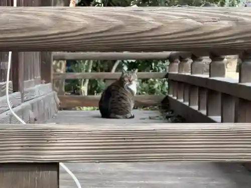 阿邪訶根神社(福島県)