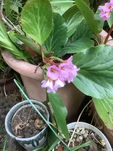 三輪神社の自然