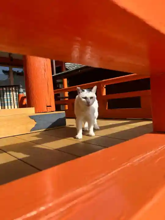 龍泉寺(愛知県)