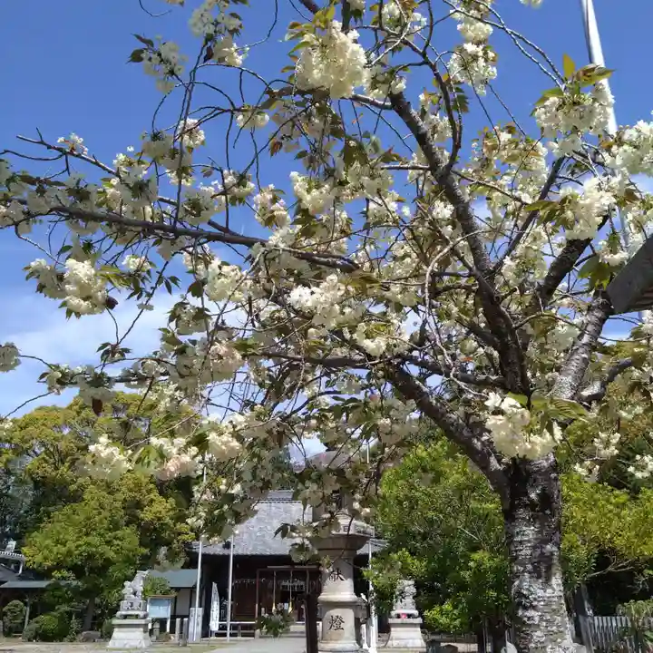 日吉神社(愛知県)