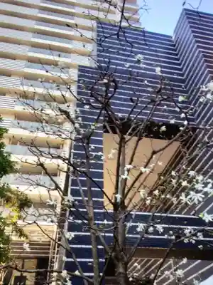 茶ノ木神社(東京都)
