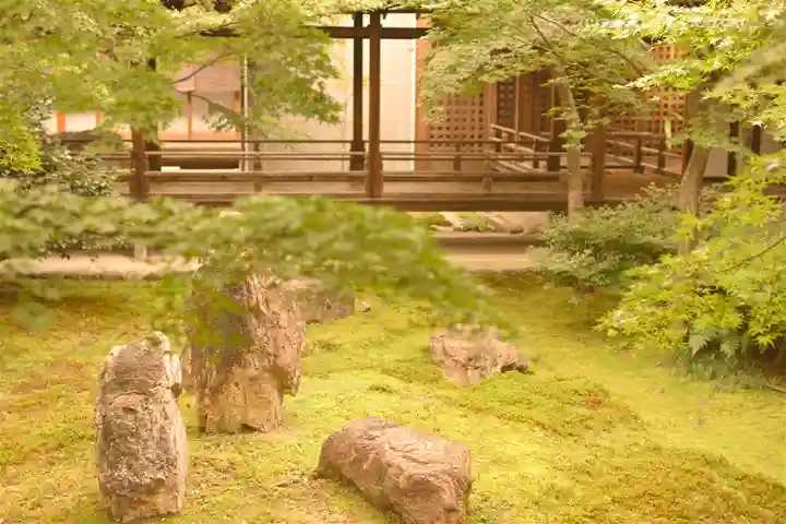 建仁寺(建仁禅寺)の庭園