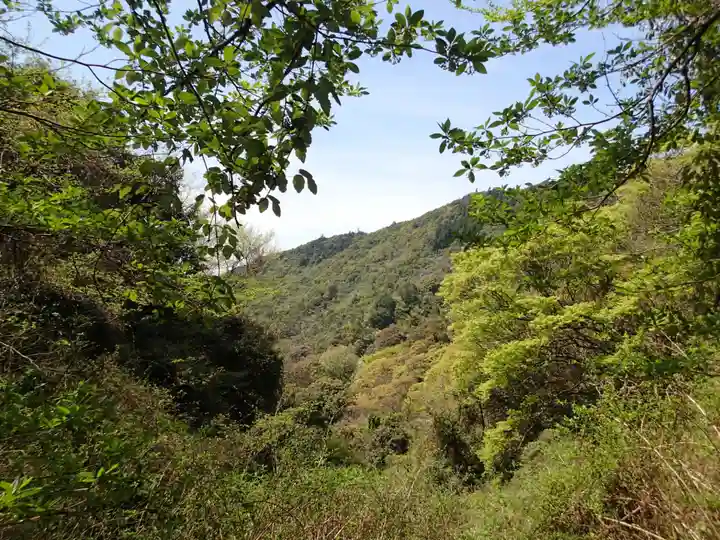 大元神社(宇佐神宮奥宮)の自然