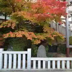 伊勢山皇大神宮の自然