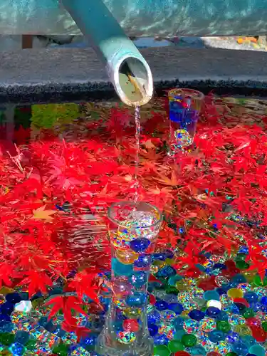 岡寺（龍蓋寺）(奈良県)