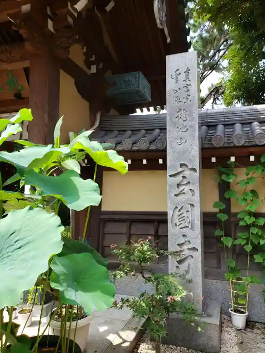 玄国寺のその他建物