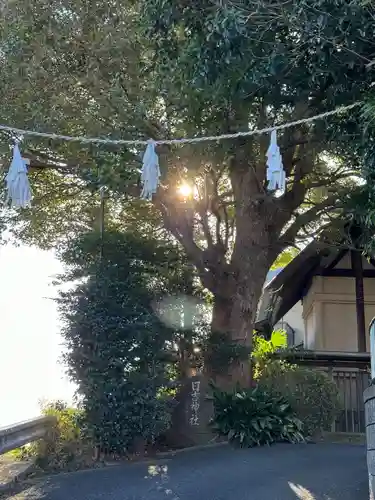 日吉神社(神奈川県)