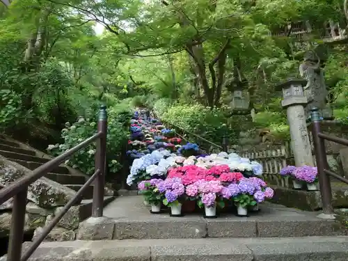 長谷寺(奈良県)