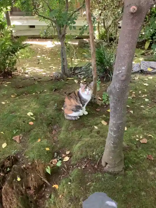 牟呂八幡宮(愛知県)
