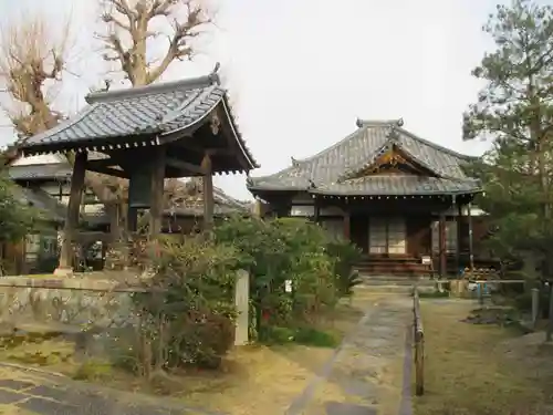 妙教寺(京都府)