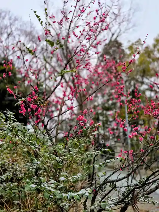 子鍬倉神社(福島県)