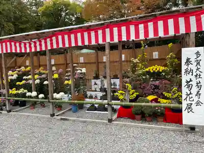 多賀大社(滋賀県)