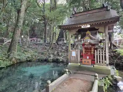 泉神社(茨城県)