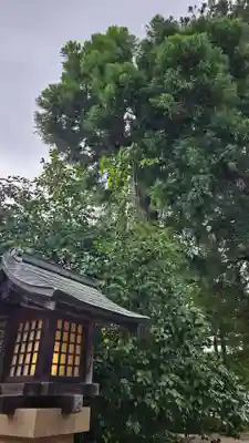 八重垣神社(島根県)