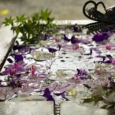 札幌諏訪神社の手水舎