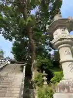 秋葉總本殿可睡斎のその他建物