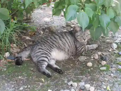 回向院(東京都)