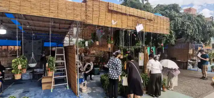 浅草寺のお祭り