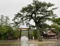 伊勢神宮内宮(皇大神宮)の景色