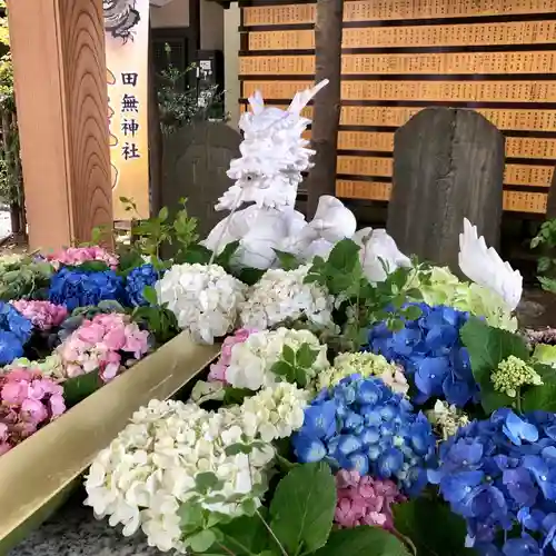 田無神社の手水