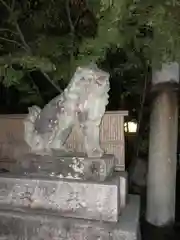 安井金比羅宮の狛犬