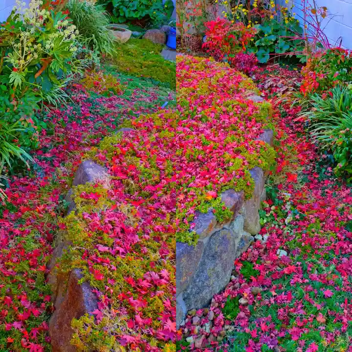 寿量山 速成寺(奈良県)