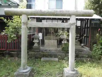 白髭神社の鳥居