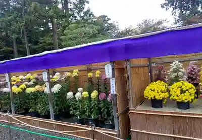 御寺 泉涌寺(京都府)