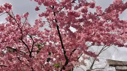 車折神社の自然