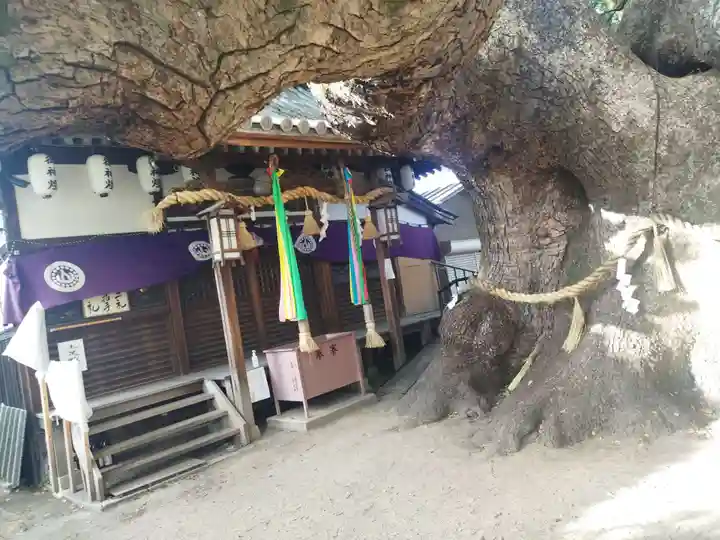 三島神社(大阪府)